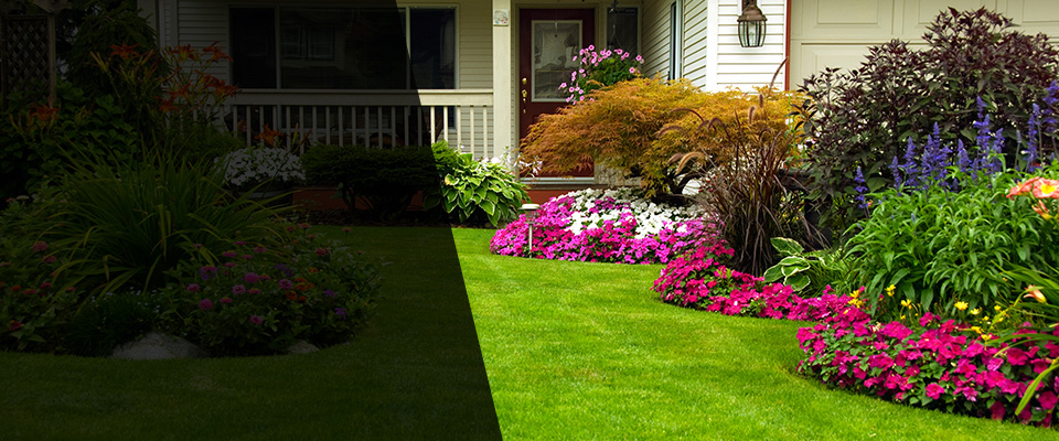 Littleton Landscapers
